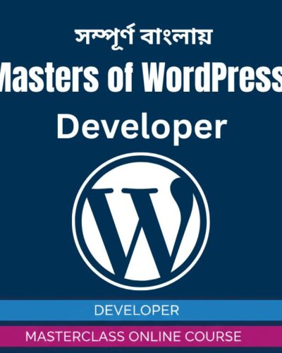 Masters of WordPress Developer