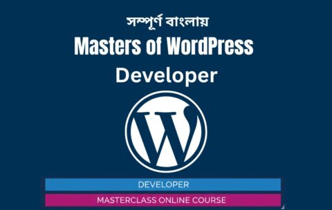 Masters of WordPress Developer